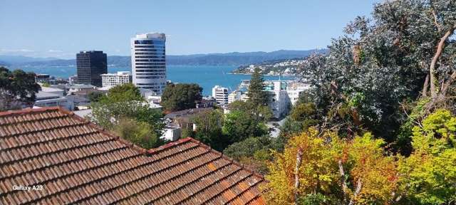 One Bedroom Apartment Kelburn