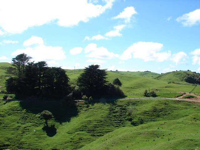 Mahoe Road Waitomo_2