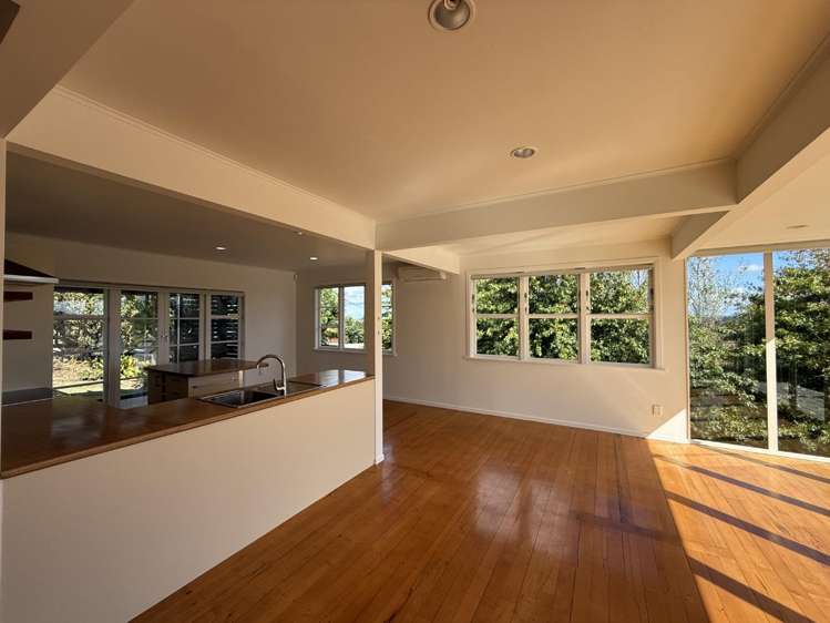 98 Tender Road Dairy Flat_12