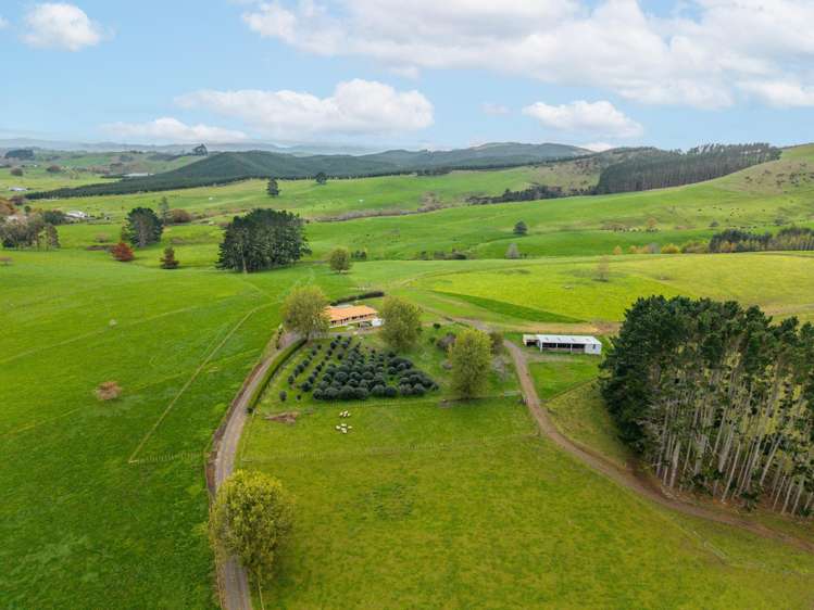 636 Kopuku Road Maramarua_25