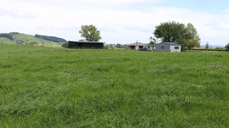 419 Te Kawa Road Te Kawa_14