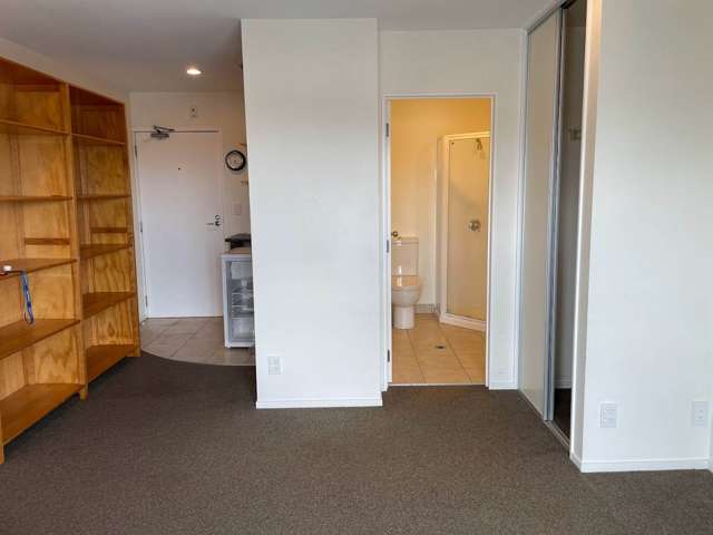 5P/10 Crown Lynn Place New Lynn_1