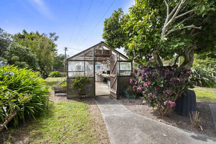 33 Daniell Street Bulls_24