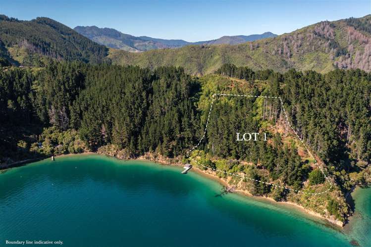 Lots 1 & 2 Ahitarakihi Bay Arapawa Island_6