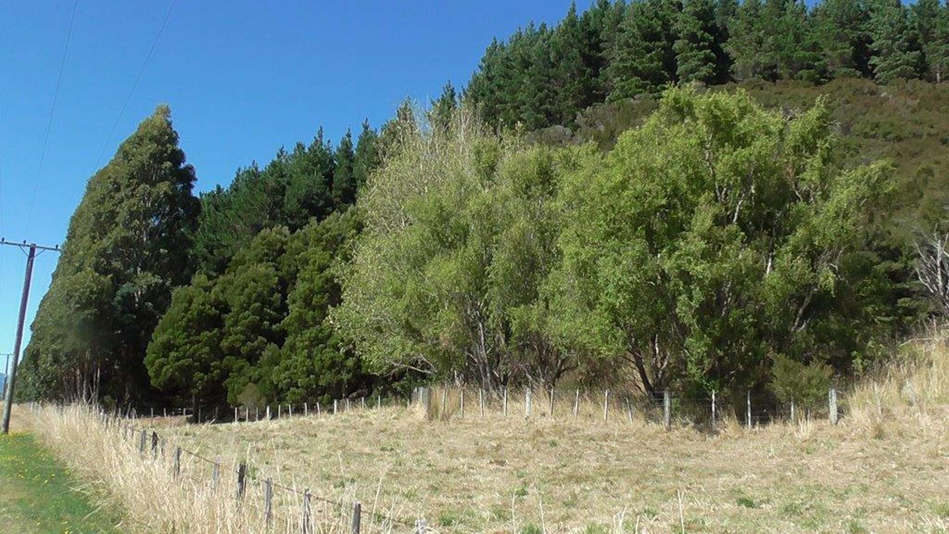 3626a Western Lake Road Ocean Beach_0