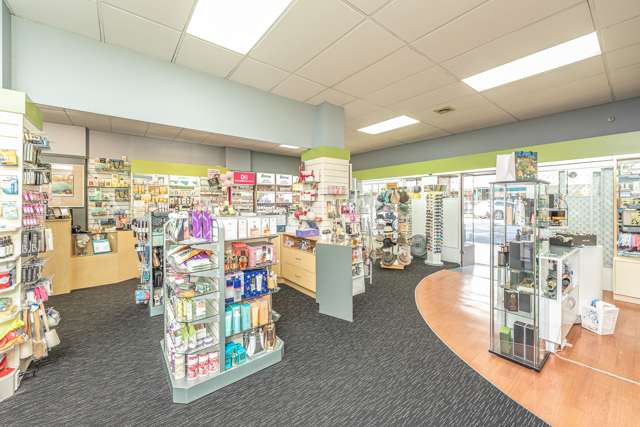 145 Victoria Avenue Whanganui Central_4