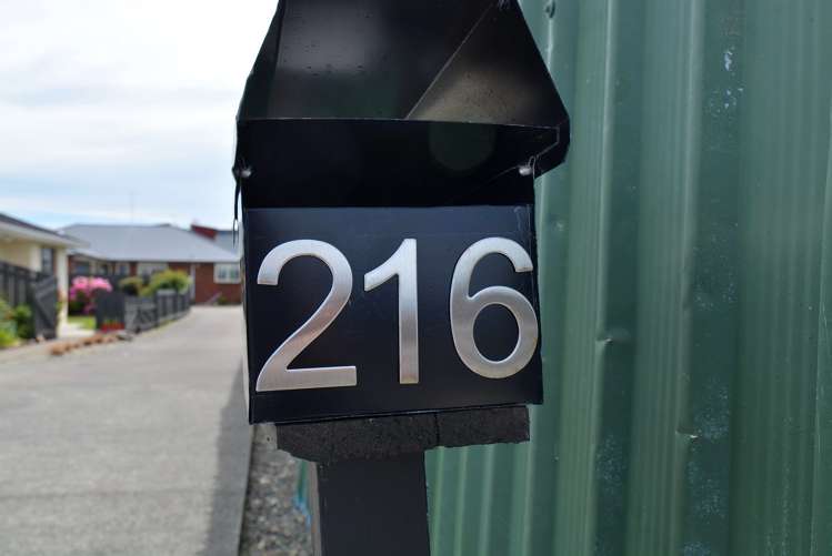 216 Teviot Street Georgetown_15