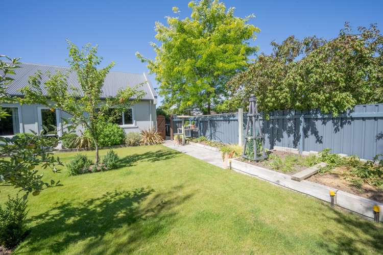 11 Pines Road Alexandra_20