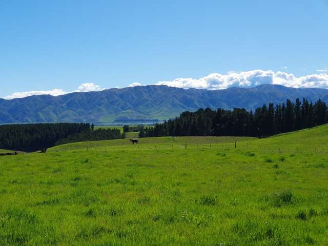 Discover Your Dream Lifestyle Block