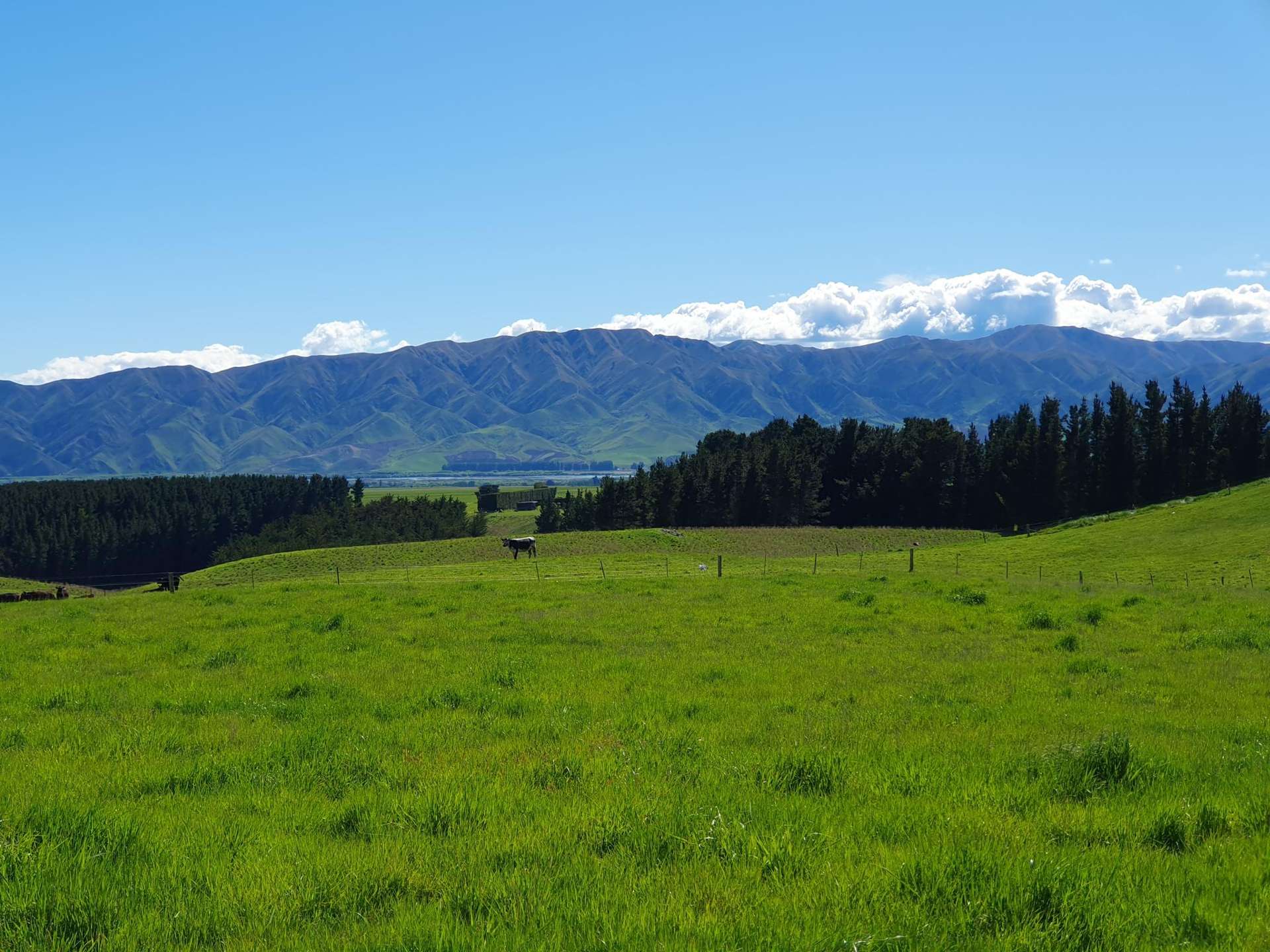 Lot 2 Cricklewood Rise Grants Road Kurow_0