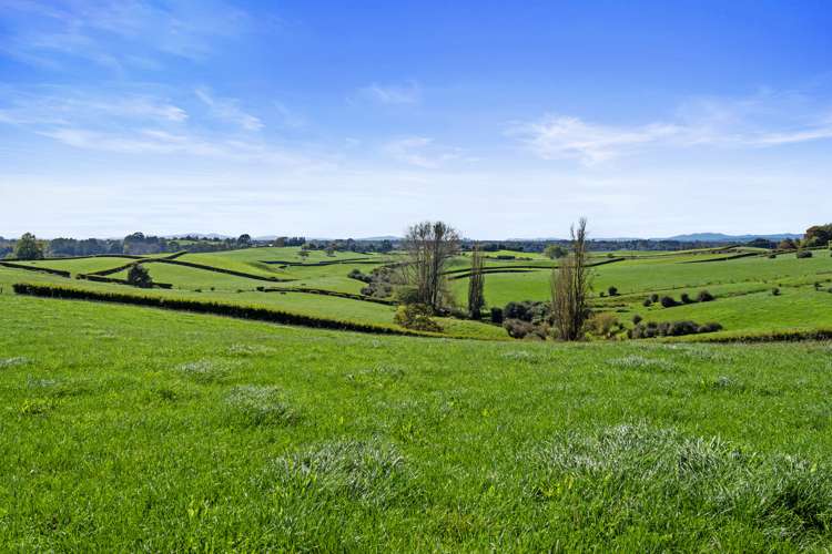 632a Peacockes Road Peacocke_13