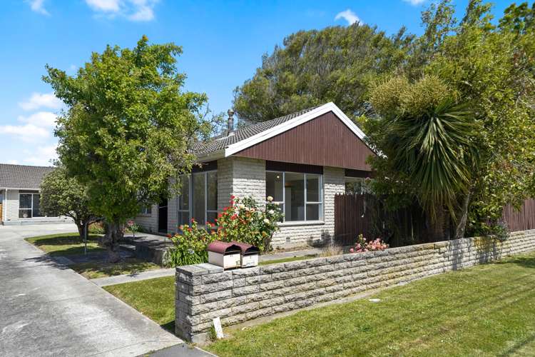 1/10 Cardiff Avenue Somerfield_19