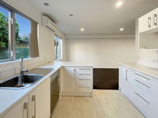 17 Antrim Street Sydenham_3