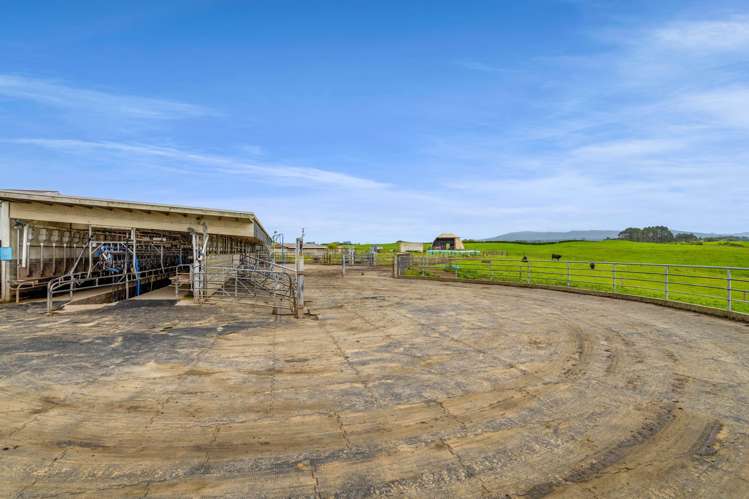 358 Opunake Road Cardiff_19