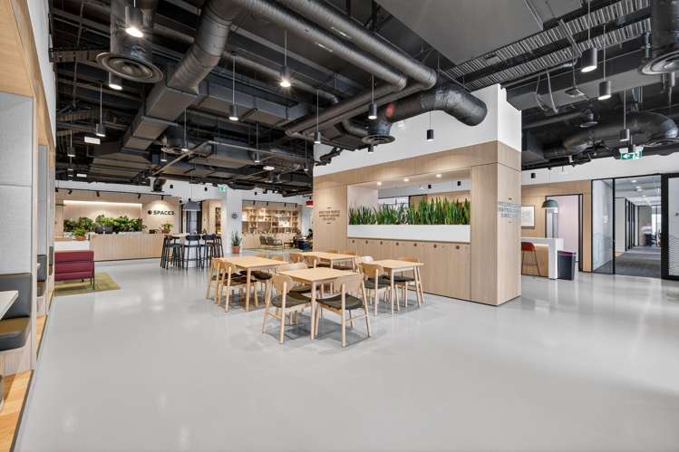 50 Albert Street Auckland Cbd_2