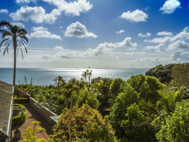 15b Brighton Terrace Mairangi Bay_3