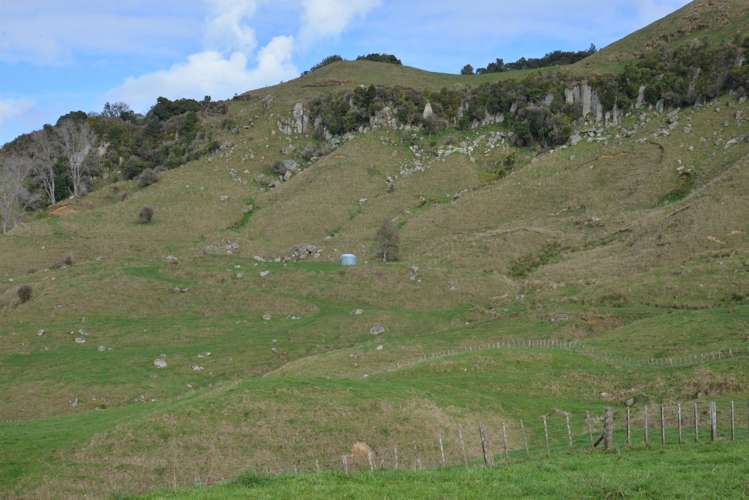 220 Tikitiki Road Te Kuiti_19
