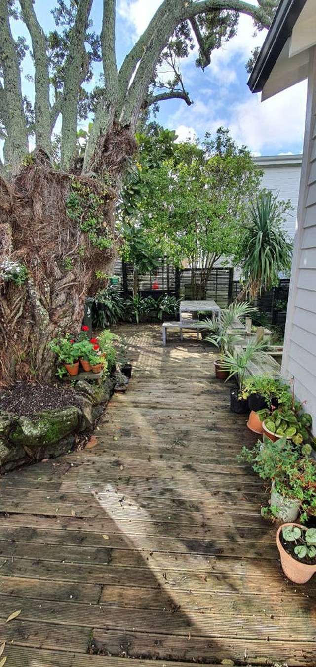 8 King Street Grey Lynn_4