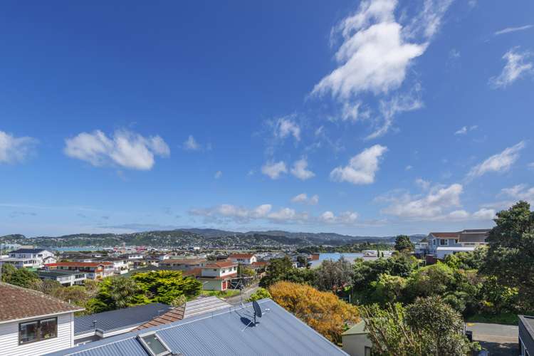 34a Wilberforce Street Miramar_14