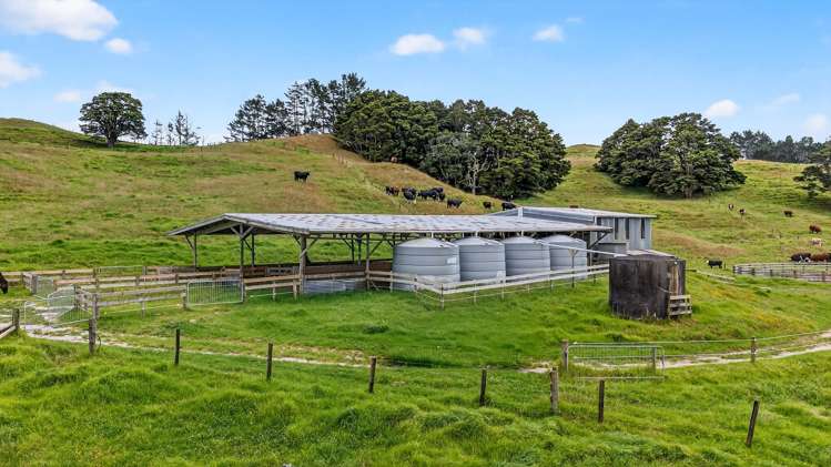 421 Wharehine Road Wellsford_26