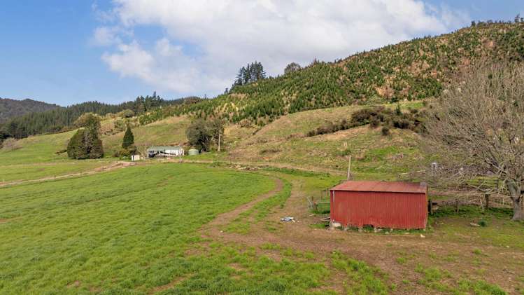 956 Otara Road Opotiki_6