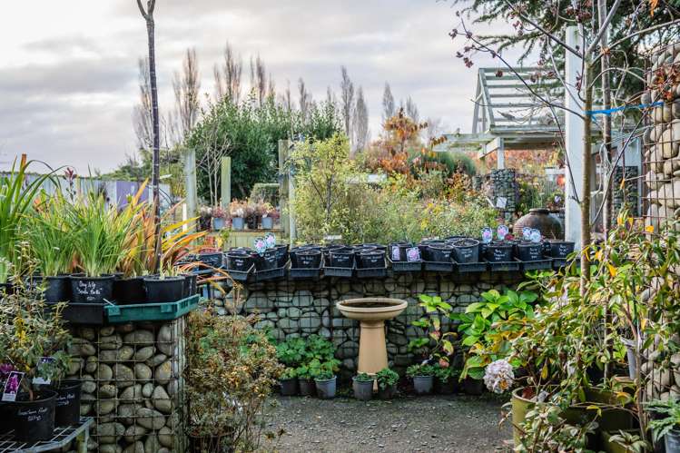 161 Temuka-orari Highway Winchester_22