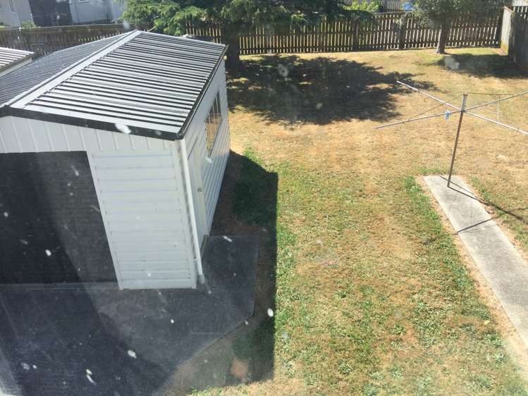 7 Ventura Grove Bulls_23