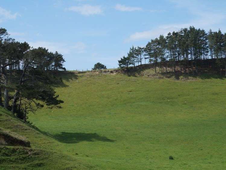 Mount Wesley Coast Road Dargaville_29