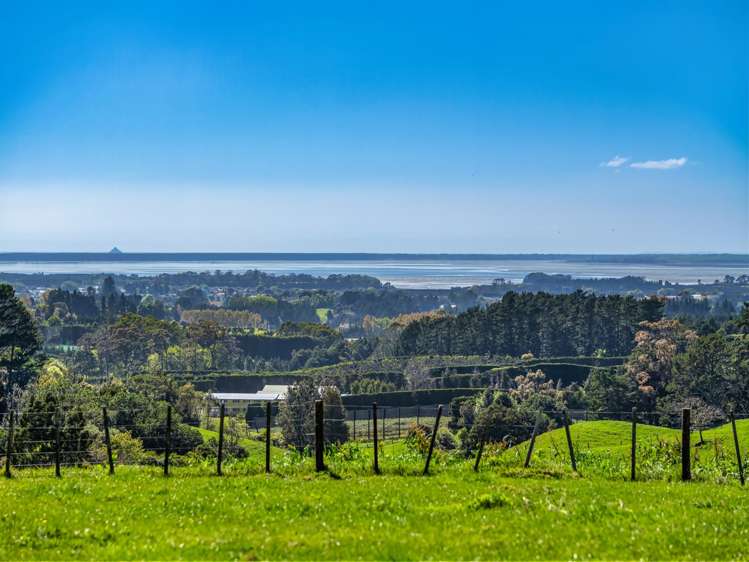 383 Busby Road Katikati_31