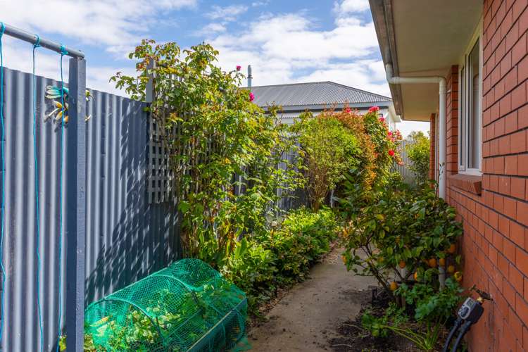 12c Carvell Street Blenheim Central_19