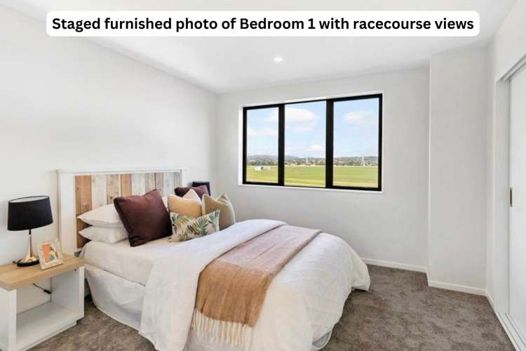 46 Elm Street Avondale_7