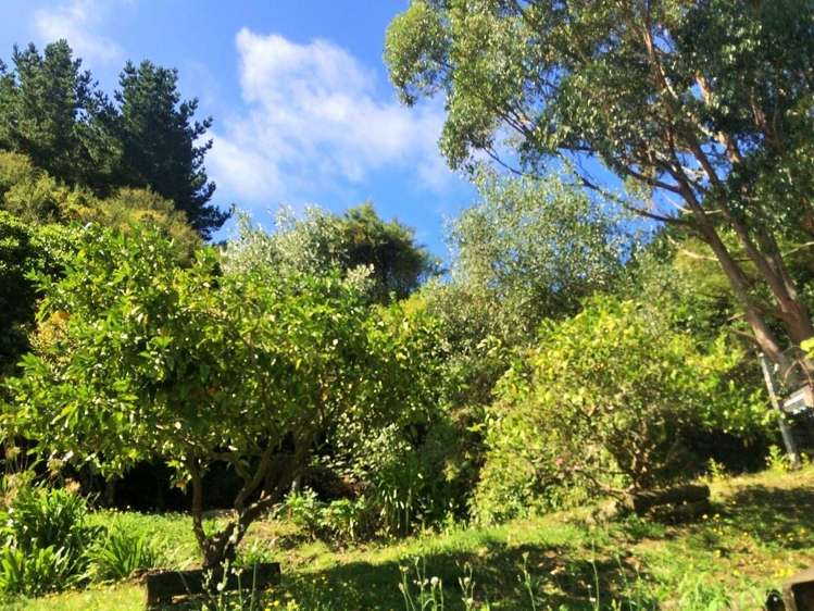 15 Mamaku Street Paraparaumu_23