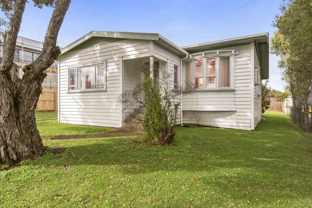 22 Jersey Avenue Mount Albert_4