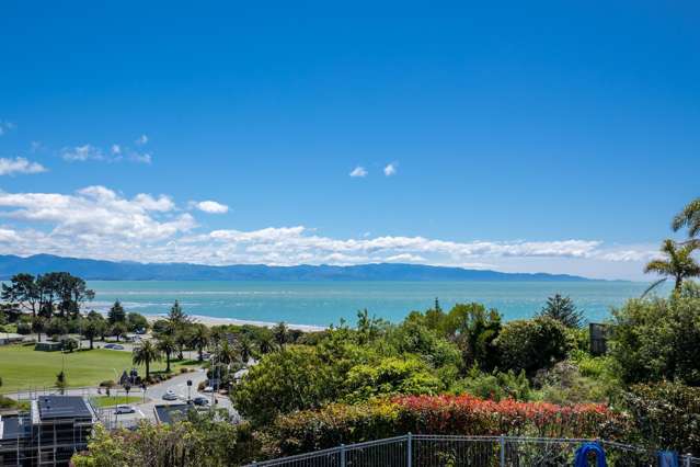 16 Champion Terrace Moana_3