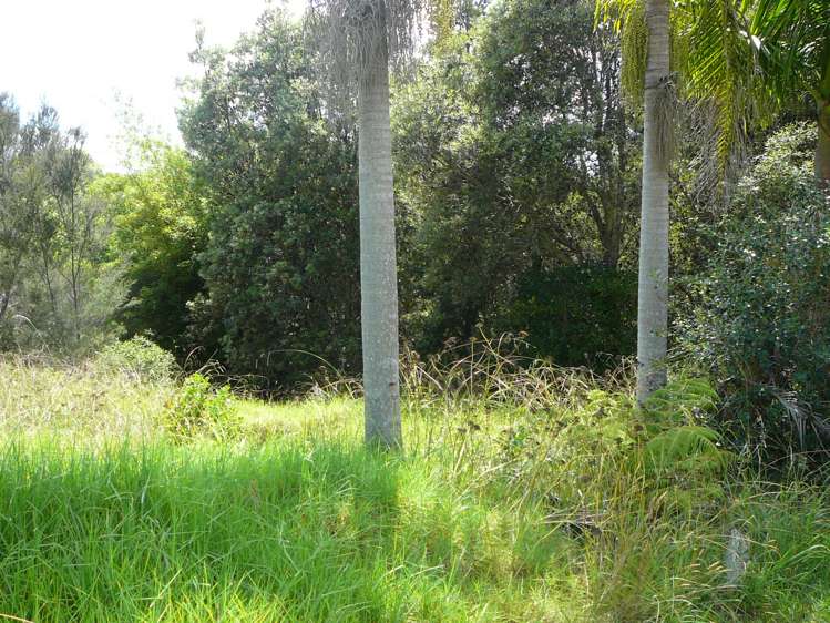 42 Mangatete Heights Kaingaroa_7