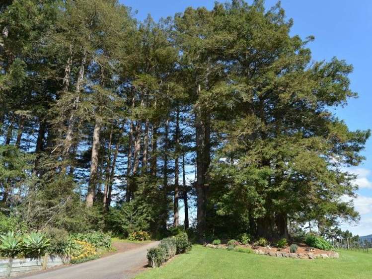 88 Kokopu Block Road Maungatapere_17