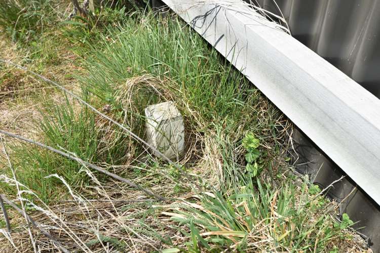 8 Unwin Place Twizel_9