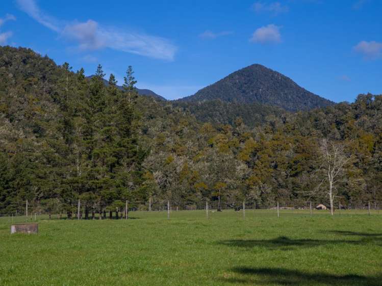 55 Maungatapu Road Rai Valley_15