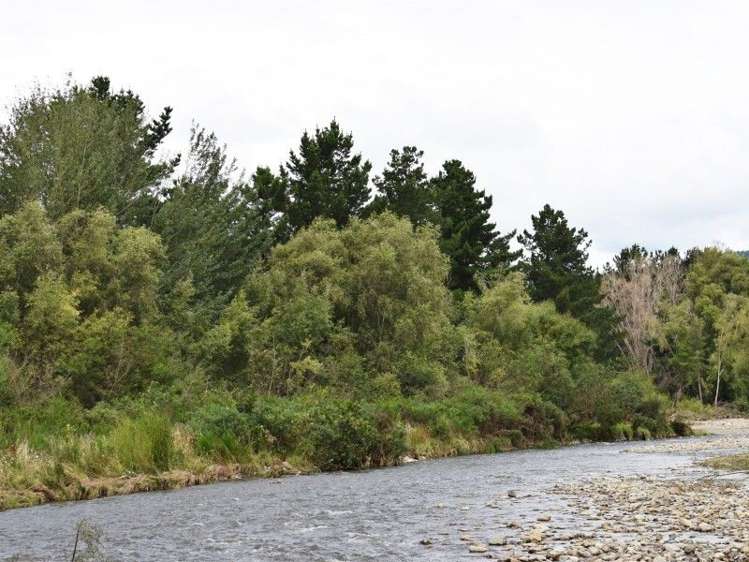 861 State Highway 1 Picton_19