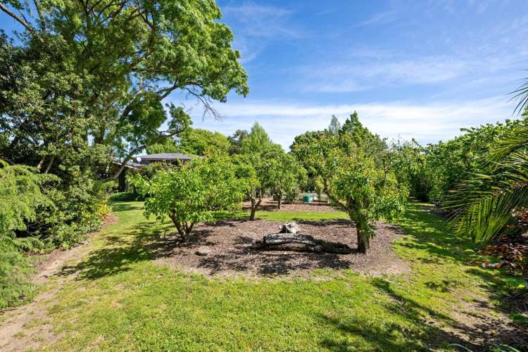 158 Murrays Road Rapaura_74