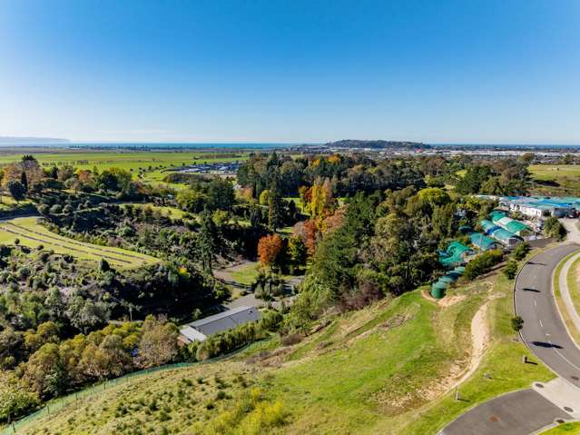 86 Oak Road Poraiti_3