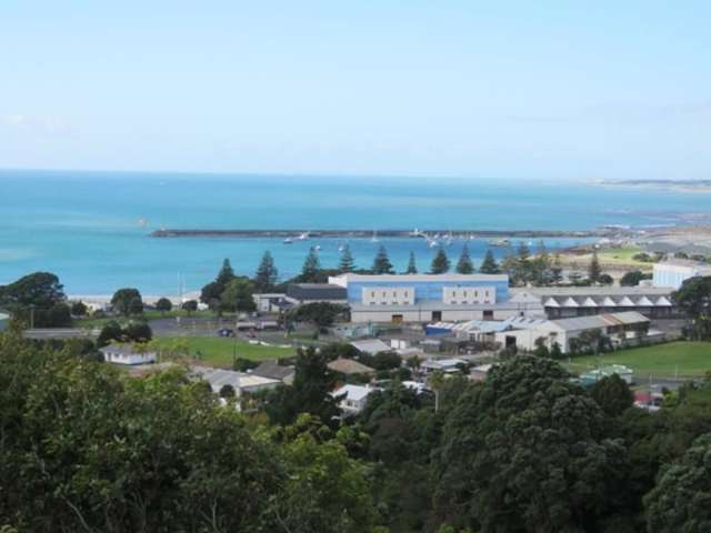 6b Scott Street Moturoa_1