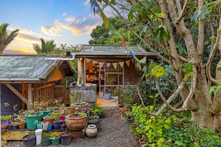 18 Tasman View Road Bethells Beach_24