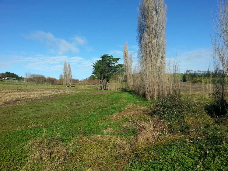 State Highway 12 Matakohe_4