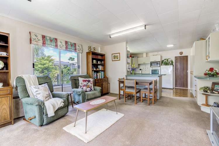 43 Bowman Road Whatawhata_12