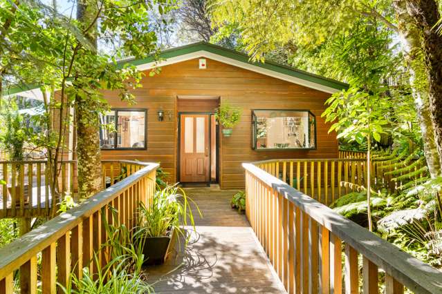 157b Konini Road Titirangi_2