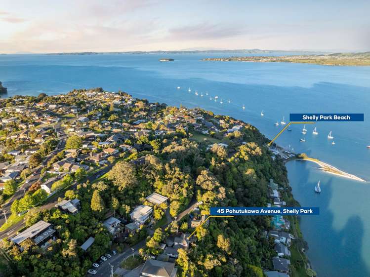 45 Pohutukawa Avenue Shelly Park_33