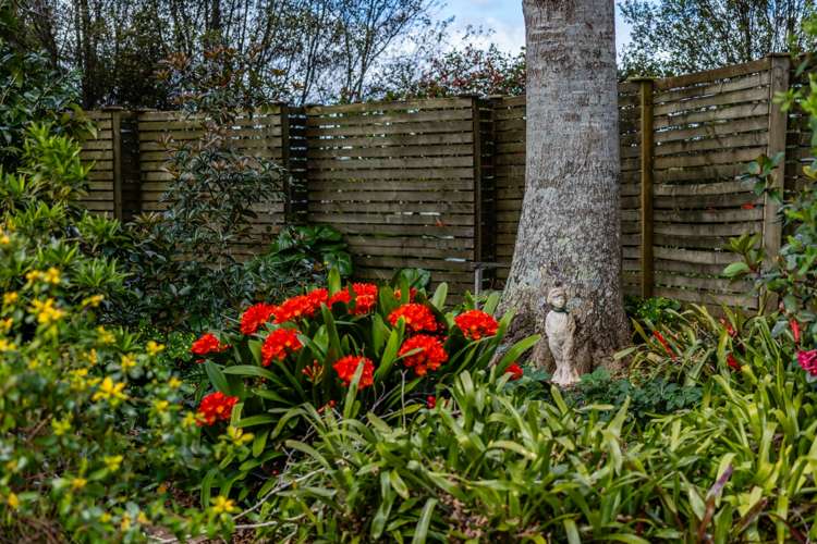 34 Waipapa Road Kerikeri_22