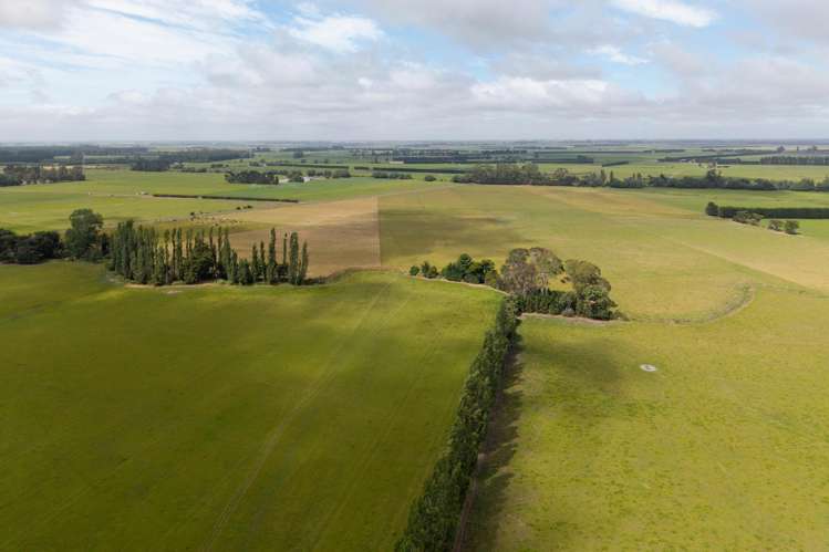 663 Boundary Creek Road Dunsandel_5