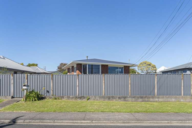 12 Saxton Road Upper Vogeltown_27